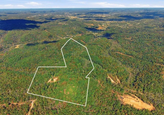 Photo 4 of Land for sale at 0 Baptist Branch Rd, Mount Pleasant, TN 38474 | MLS# 3622708 | Listing updated on 2026-10-20