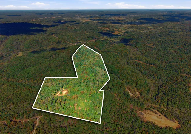 Land for sale at 0 Baptist Branch Rd, Mount Pleasant, TN 38474 | MLS# 3622708