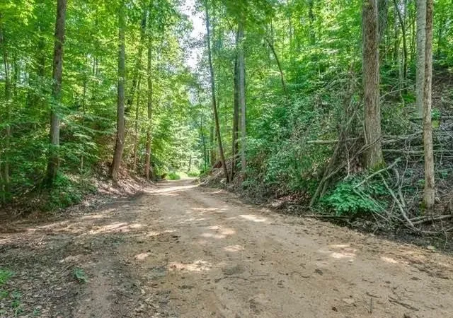 Photo 1 of Land for sale at 0 Baptist Branch Rd, Mount Pleasant, TN 38474 | MLS# 3622708 | Listing updated on 2026-10-20