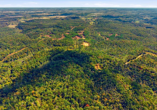 Photo 3 of Land for sale at 0 Baptist Branch Rd, Mount Pleasant, TN 38474 | MLS# 3622708 | Listing updated on 2026-10-20