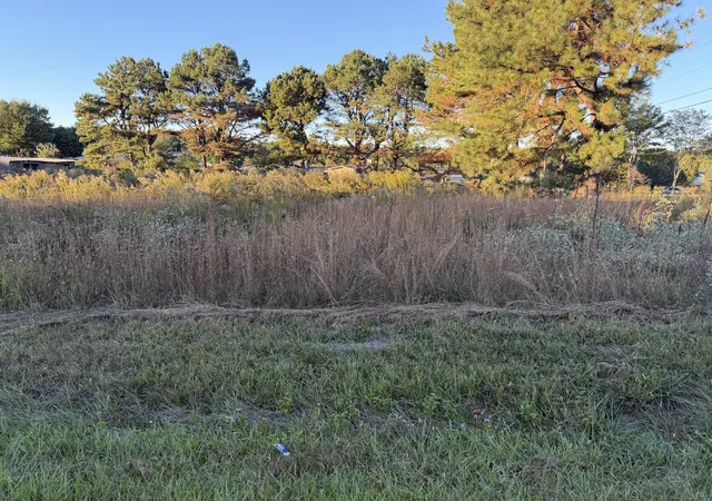 Photo 1 of Land for sale at 0 N F St, Hillsboro, TN 37342 | MLS# 3622257 | Listing updated on 2026-10-20