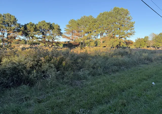 Photo 2 of Land for sale at 0 N F St, Hillsboro, TN 37342 | MLS# 3622257 | Listing updated on 2026-10-20