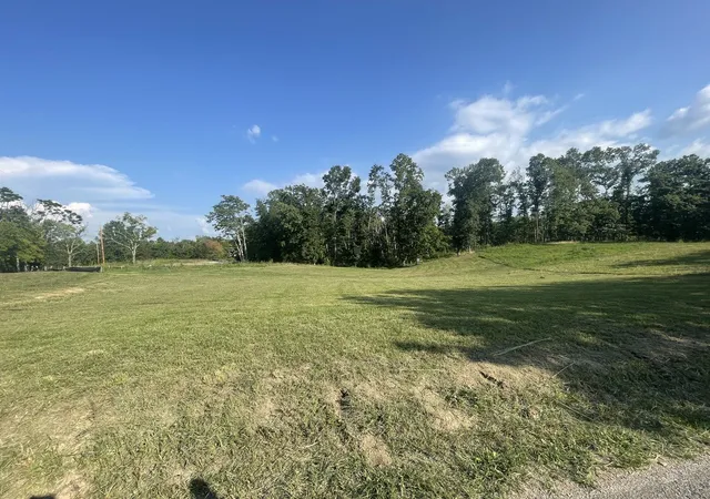 Photo 4 of Land for sale at 44 Ridgeway Ave, Smithville, TN 37166 | MLS# 3622125 | Listing updated on 2026-10-18