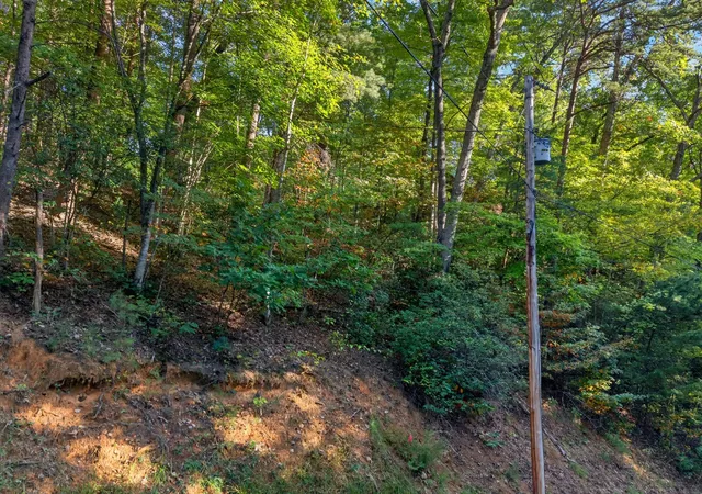 Photo 4 of Land for sale at 0 School House Gap Rd N, Sevierville, TN 37876 | MLS# 3623382 | Listing updated on 2026-10-22