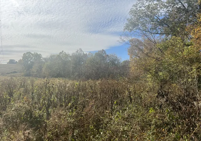 Photo 1 of Land for sale at 6 Clyde Webb, Tennessee Ridge, TN 37178 | MLS# 3622266 | Listing updated on 2026-10-19
