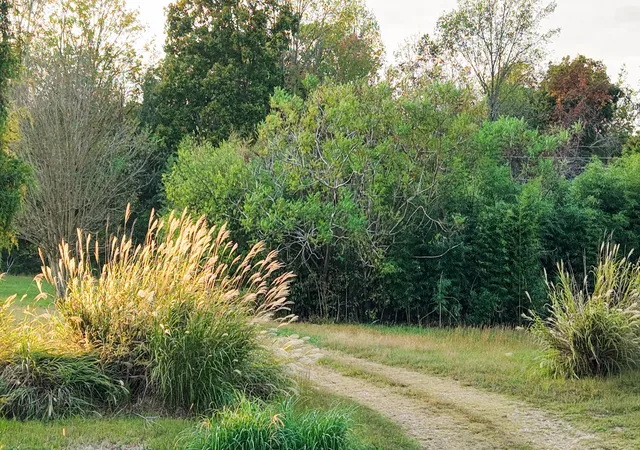 Photo 1 of Manufactured home for sale at 421 Pea Ridge Rd, Westmoreland, TN 37186 | MLS# 3624562 | Listing updated on 2026-10-25