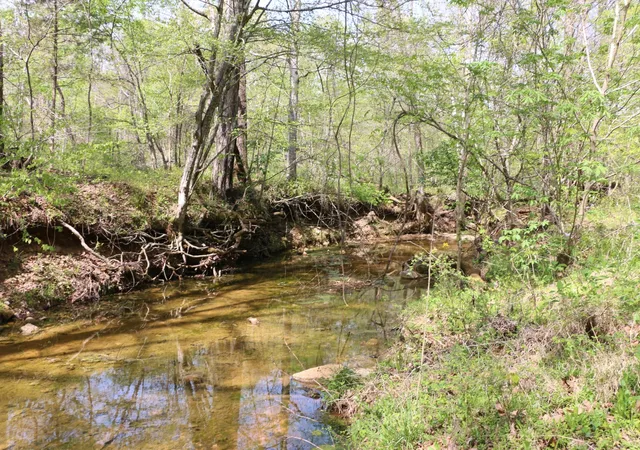 Photo 4 of Land for sale at 820 New Rd, Clarksville, TN 37040 | MLS# 3622473 | Listing updated on 2026-10-20