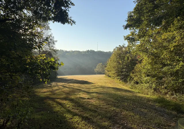 Land for sale at 1 Caney Frk Rd, Fairview, TN 37062 | MLS# 3623145