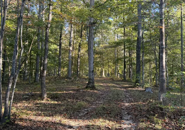 Photo 2 of Land for sale at 1 Caney Frk Rd, Fairview, TN 37062 | MLS# 3623145 | Listing updated on 2026-10-21