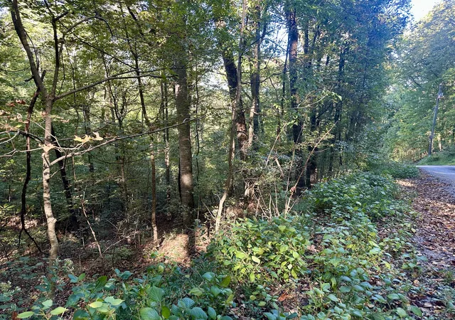 Photo 1 of Land for sale at 0 Lakeside Dr, Smithville, TN 37166 | MLS# 3622547 | Listing updated on 2026-10-19