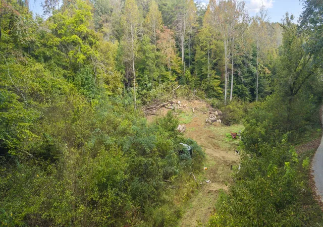 Land for sale at 0 Long Branch Rd, Seymour, TN 37865 | MLS# 3622633
