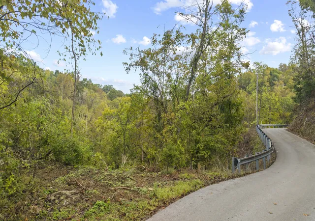 Photo 2 of Land for sale at 0 Long Branch Rd, Seymour, TN 37865 | MLS# 3622633 | Listing updated on 2026-10-19