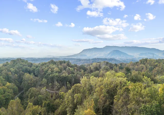 Photo 3 of Land for sale at 0 Long Branch Rd, Seymour, TN 37865 | MLS# 3622633 | Listing updated on 2026-10-19