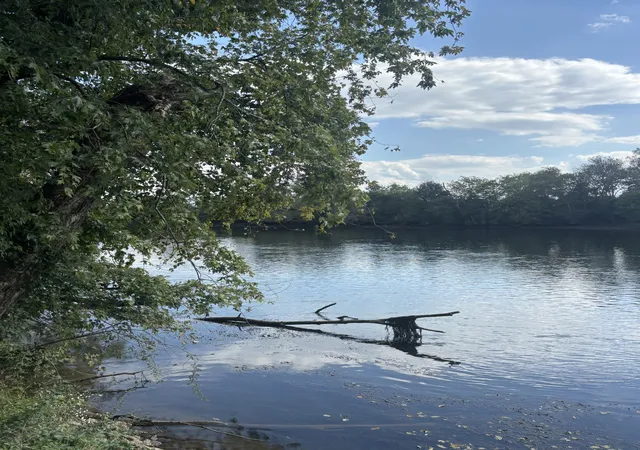 Photo 1 of Land for sale at 0 Pinhook Rd, Calhoun, TN 37309 | MLS# 3622718 | Listing updated on 2026-10-20