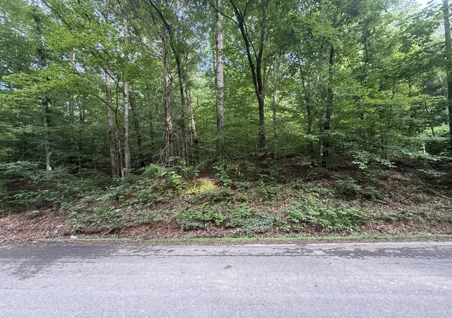 Photo 1 of Land for sale at 0 Caney Branch Rd, Stewart, TN 37175 | MLS# 3622943 | Listing updated on 2026-10-20