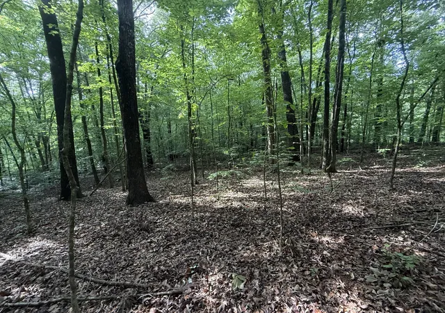 Photo 1 of Land for sale at 0 Caney Crk Rd, Stewart, TN 37175 | MLS# 3622944 | Listing updated on 2026-10-20