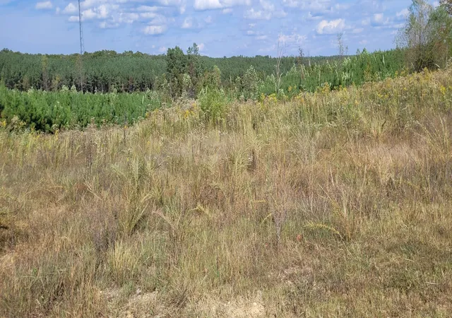 Photo 1 of Land for sale at 0 Fernwood Dr, Dover, TN 37058 | MLS# 3628013 | Listing updated on 2026-10-28