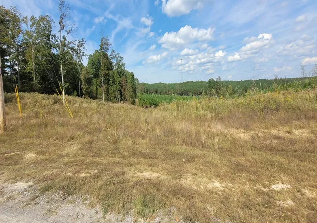 Photo 4 of Land for sale at 0 Fernwood Dr, Dover, TN 37058 | MLS# 3628013 | Listing updated on 2026-10-28