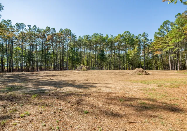Photo 2 of Land for sale at 0 Tom Rail Rd, Santa Fe, TN 38482 | MLS# 3624875 | Listing updated on 2026-10-23
