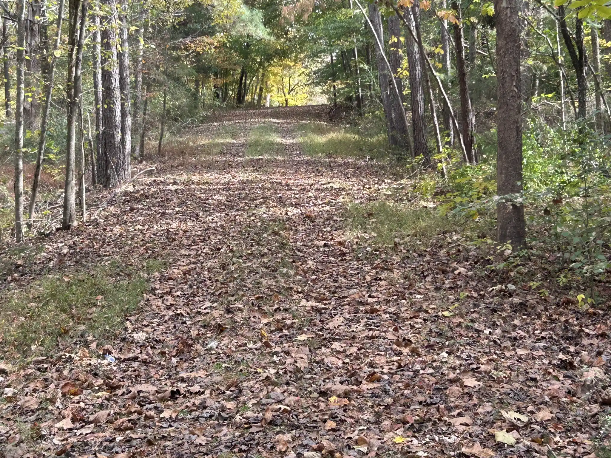 Photo 4 of Land for sale at 0 Forrest Glenn Rd, Fairview, TN 37062 | MLS# 3626727 | Listing updated on 2026-10-27