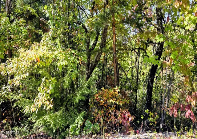Photo 1 of Land for sale at 90 Mountain Blvd, Sevierville, TN 37876 | MLS# 3623482 | Listing updated on 2026-10-23