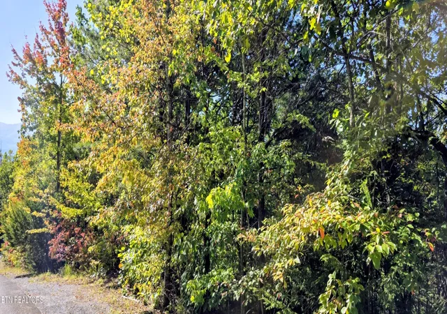 Photo 2 of Land for sale at 90 Mountain Blvd, Sevierville, TN 37876 | MLS# 3623482 | Listing updated on 2026-10-23