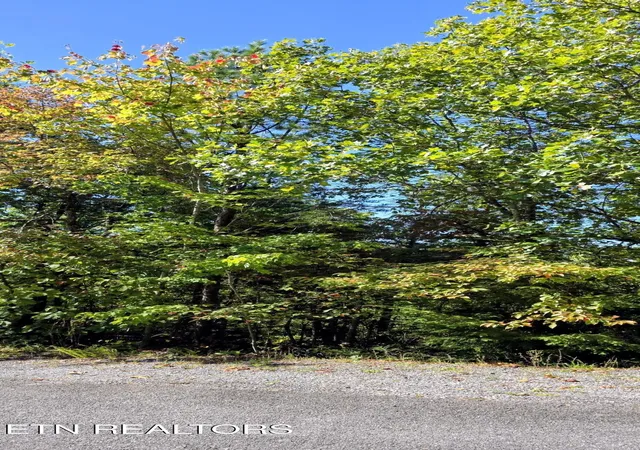 Photo 3 of Land for sale at 90 Mountain Blvd, Sevierville, TN 37876 | MLS# 3623482 | Listing updated on 2026-10-23