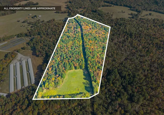 Photo 3 of Land for sale at 16350 Froghop Rd, Hopkinsville, KY 42240 | MLS# 3623697 | Listing updated on 2026-10-21