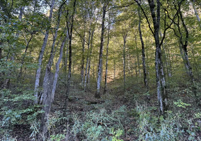 Photo 3 of Land for sale at 1301 South Frk Rd, Whitleyville, TN 38588 | MLS# 3623869 | Listing updated on 2026-10-22