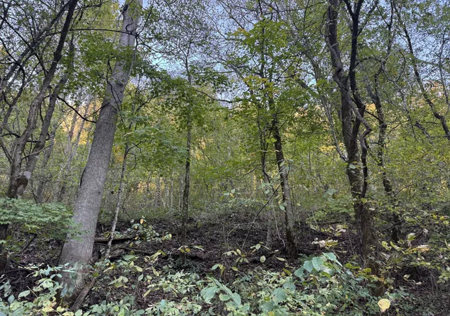 Photo 4 of Land for sale at 1301 South Frk Rd, Whitleyville, TN 38588 | MLS# 3623869 | Listing updated on 2026-10-22