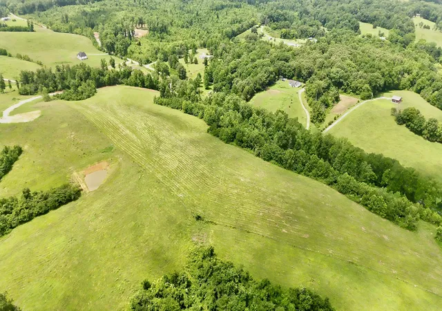 Photo 4 of Land for sale at 1 Brigham Branch Rd, Erin, TN 37061 | MLS# 3628218 | Listing updated on 2026-10-29