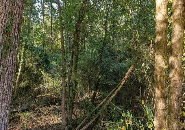 Photo 4 of Land for sale at 7364 Mccormack Dr, Hixson, TN 37343 | MLS# 3623956 | Listing updated on 2026-10-22
