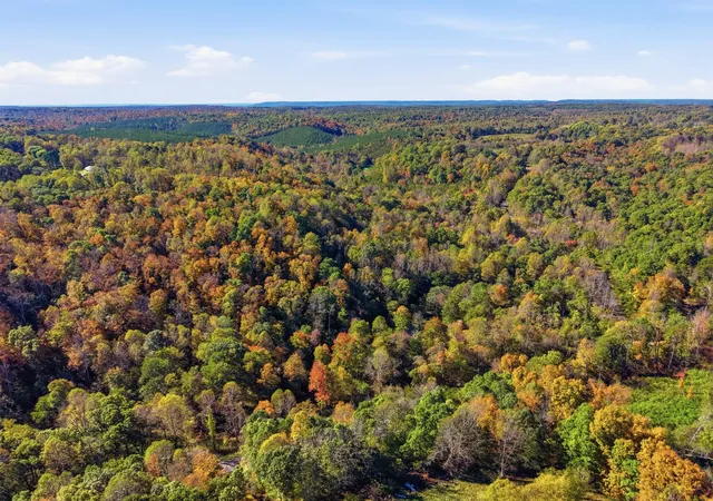 Photo 3 of Land for sale at 0 Glade Crk Rd NE, Sparta, TN 38583 | MLS# 3623994 | Listing updated on 2026-10-22