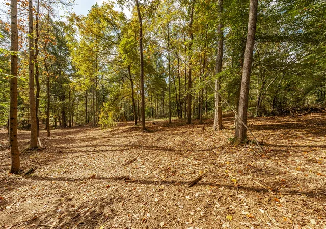 Photo 4 of Land for sale at 569 Highland Rd, Westmoreland, TN 37186 | MLS# 3626784 | Listing updated on 2026-10-26