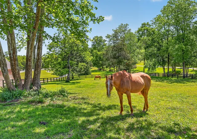 Photo 3 of Single family home for sale at 157 Giles Ln, Gallatin, TN 37066 | MLS# 3624502 | Listing updated on 2026-10-23