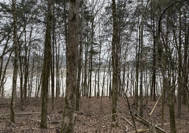 Photo 2 of Land for sale at 0 Cook Ln, Gainesboro, TN 38562 | MLS# 3624393 | Listing updated on 2026-10-23