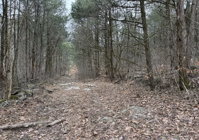 Photo 4 of Land for sale at 0 Cook Ln, Gainesboro, TN 38562 | MLS# 3624393 | Listing updated on 2026-10-23