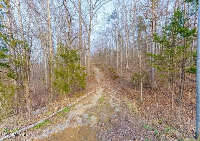 Photo 4 of Land for sale at 0 Douglas Dam Rd, Sevierville, TN 37876 | MLS# 3624521 | Listing updated on 2026-10-23