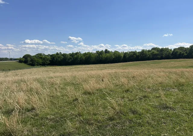 Photo 2 of Land for sale at 0 Charles Golden Rd, Sparta, TN 38583 | MLS# 3624565 | Listing updated on 2026-10-23