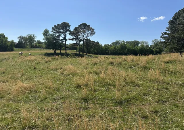Photo 4 of Land for sale at 0 Charles Golden Rd, Sparta, TN 38583 | MLS# 3624565 | Listing updated on 2026-10-23