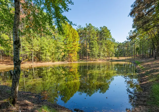 Photo 1 of Land for sale at 0 Beard Rd, Santa Fe, TN 38482 | MLS# 3624879 | Listing updated on 2026-10-23