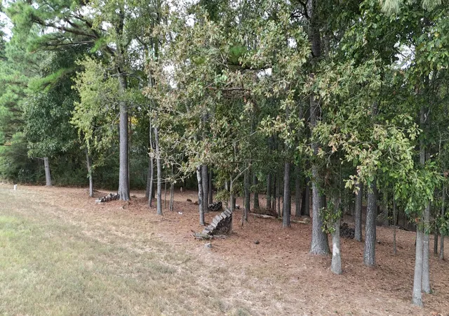 Photo 2 of Land for sale at 0 Beard Rd, Santa Fe, TN 38482 | MLS# 3624879 | Listing updated on 2026-10-23