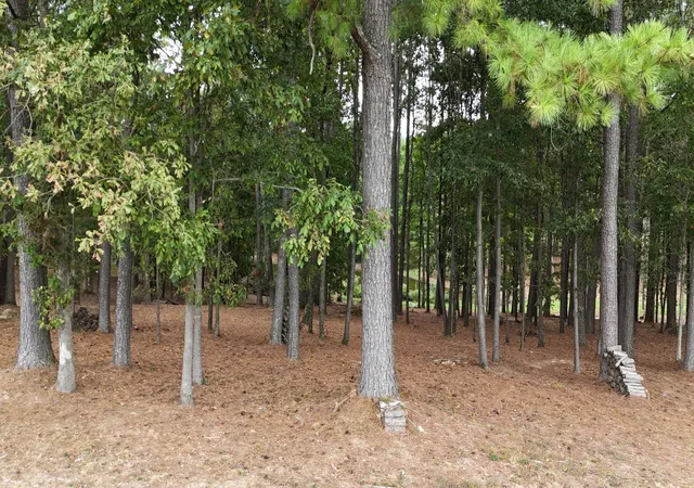 Photo 4 of Land for sale at 0 Beard Rd, Santa Fe, TN 38482 | MLS# 3624879 | Listing updated on 2026-10-23