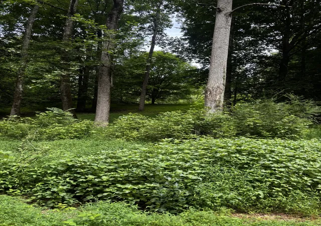 Photo 1 of Single family home for sale at 420 Shepherd Holw Rd, Indian Mound, TN 37079 | MLS# 3626173 | Listing updated on 2026-10-23