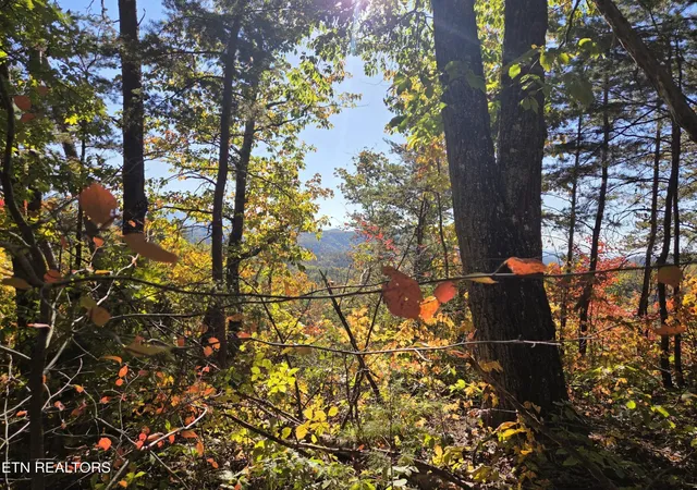 Land for sale at 1210 Sourwood Honey Dr, Sevierville, TN 37876 | MLS# 3626357