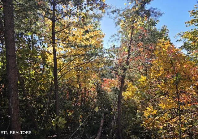 Photo 3 of Land for sale at 1210 Sourwood Honey Dr, Sevierville, TN 37876 | MLS# 3626357 | Listing updated on 2026-10-29