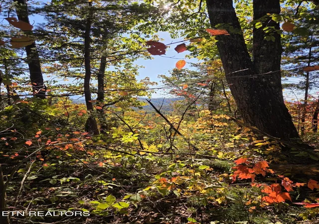 Photo 1 of Land for sale at 1210 Sourwood Honey Dr, Sevierville, TN 37876 | MLS# 3626357 | Listing updated on 2026-10-29