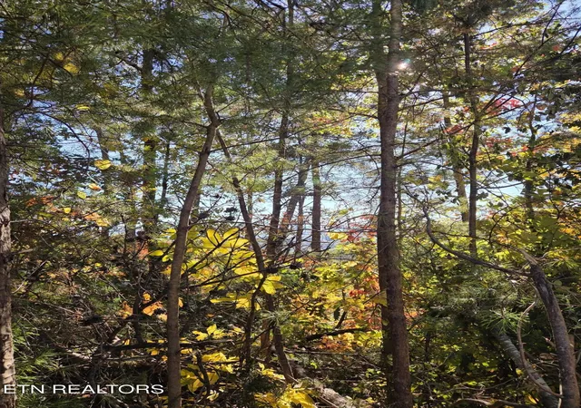 Photo 4 of Land for sale at 1210 Sourwood Honey Dr, Sevierville, TN 37876 | MLS# 3626357 | Listing updated on 2026-10-29