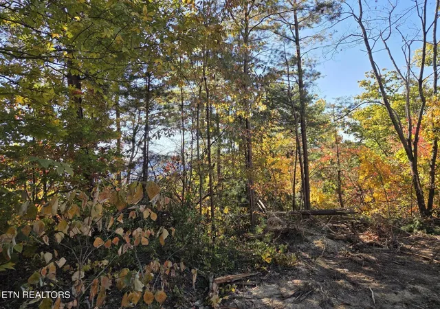 Photo 2 of Land for sale at 1210 Sourwood Honey Dr, Sevierville, TN 37876 | MLS# 3626357 | Listing updated on 2026-10-29