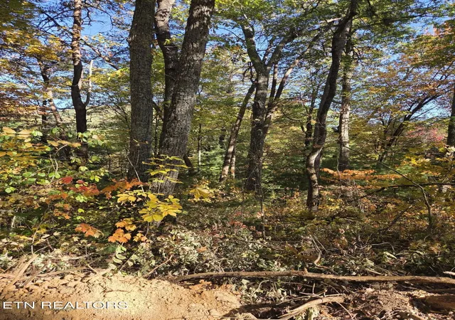 Photo 1 of Land for sale at 1211 Sourwood Honey Dr, Sevierville, TN 37876 | MLS# 3626367 | Listing updated on 2026-10-29